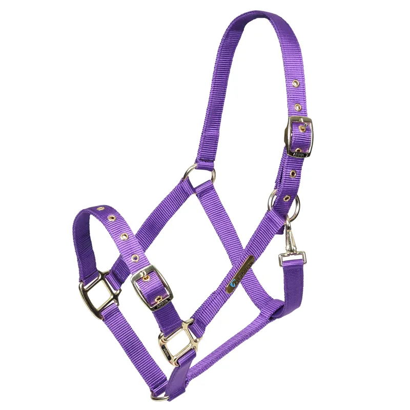 Shires Arma Adjustable Headcollar - Purple